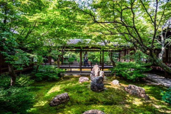 都会の喧騒を忘れる、静寂の美。建仁寺の「双龍図」と「潮音庭」に癒される、大人の着物旅