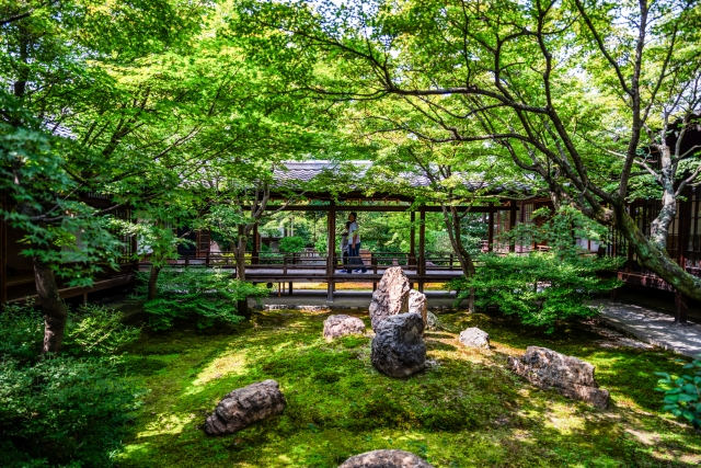 都会の喧騒を忘れる、静寂の美。建仁寺の「双龍図」と「潮音庭」に癒される、大人の着物旅